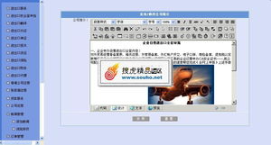 專業進出口服務公司整站解決方案 美工大氣后臺完整，精品源碼共享